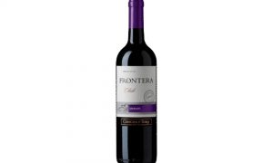 Frontera Tinto Merlot 750ml